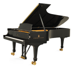 Steinway Grand Piano